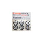 Yamaha DELİGHT 125 BAGA AĞIRLIK TAHRİK TOPLARI TAKIM(6ADET) 2BM-E7632-00