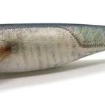 Yamashita Toto Sutte R WS95NC 9.5Cm Glowlu Natural Kalamar Zokası F/TX