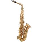 Yanagisawa Saksafon A-902/A-WO2 Low Bb High F# Lacquered Bronze Alto