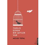 Yanlış Giden Bir Şeyler Var - Mesud Topal