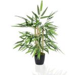 Yapay Ağaç Bambu Ağacı 4 Gövdeli 50X35 Siyah Plastik Saksılı
