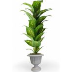 Yapay Ağaç Difenbahya 170 cm nergiz plastık saksı svm.1079