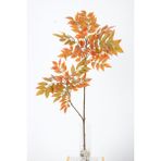 Yapay Ağac Wisteria (Akasya) Bitkisi 2 Dallı 105 cm (Saksısız) Hazan