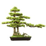 Yapay Ağaçlar Yapay Bonsai Ağacı Masaüstü Sahte Bitkiler Kitaplık, Ofis Masası Ve Banyo Odası Dekoru Yapay Bonsai