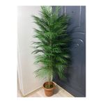 Yapay areka palmiyesi ağaç 170 cm ADD-0033