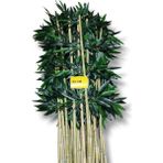 Yapay Bambu 90 cm (20 Adet) Islak Doku Dekor Çubuğu - Açık Yeşil