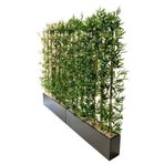 Yapay Bambu Ağacı 2 Metre Boyundadır.set Halinde Ahşap Antrasit Gri Saksılarda Bamboo Orijinal bambo