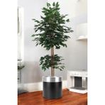 Yapay Benjamin Ağacı Bambu Gövdeli Yeşil (Şık Metal Sıyah Saksılı) 170 cm