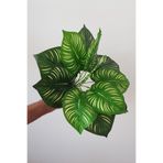 Yapay Bitki Caladium-kaladyum Demet Gerçek Dokulu 12 Dal 41 Cm. Yeşil Yeşil Tek Ebat