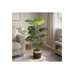 Yapay Bitki Monstera Yapraklı Salon Ağacı, 165 Cm