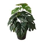 Yapay Bitki Monstera