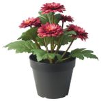 Yapay bitki, pembe-yeşil, 12 cm, krizantem