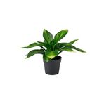 Yapay bitki, yeşil, 9 cm, muz zambağı, iç/dış mekan