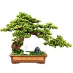 Yapay Bitkiler Sergileme Ağacı Yapay Bonsai Ağacı Dikdörtgen Seramik Saksı Oturma Odası Giriş Dekorasyonu Sahte Bitki Süsleri Kitap Rafı Dekor Süsleri