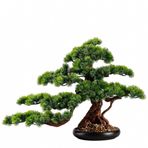 Yapay Bitkiler Sergileme Ağacı Yapay Bonsai Ağacı Sahte Bitkiler Seramik Saksılarla İç Mekan Dekoru Ev Masası Ofis Masası Banyo Rafı Kitap Rafı Dekor Süsleri