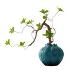 Yapay Bitkiler Sergileme Ağacı Yapay Bonsai Ağacı Zen Bonsai Bitkisi İç Mekan Simülasyonu Çiçek Bitkisi Saksı Bitkisi Yapay Saksı Bitkileri Masaüstü Yeşillik Dekoru Kitap Rafı Dekor Süsleri