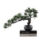 Yapay Bitkiler Yapay Bonsai Ağacı Sahte Yeşil Bitkiler Zen Süsleri Simülasyon Podokarpus Bonsai El Sanatları Oturma Odası