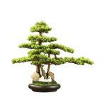 Yapay Bitkiler/İç mekan bonzai ağaçları Seramik Saksılı Yapay Bonsai Ağacı Dekoratif Sahte Bitkiler Oturma Odası, Ofis, Çay Odası İçin Yapay bonsai ağacı