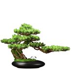 Yapay Bitkiler/İç mekan bonzai ağaçları Yapay Bonsai Ağacı İç Mekan Dekorasyonu Ofis Oturma Odası İçin Seramik Saksılı Sahte Bitki Yapay bonsai ağacı