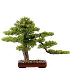 Yapay Bitkiler/İç mekan bonzai ağaçları Yeni Çin Yapay Bonsai Ağacı Ofis Giriş Süsleri Yeşillik Sahte Çam Ağacı Süslemeleri Yapay bonsai ağacı