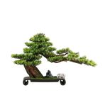 Yapay Bonsai Ağacı Seramik Tabanlı Yapay Bonsai Ağacı Oturma Odası Giriş Ofisi İçin Sahte Bitki Dekorasyonu Sahte Bitkiler