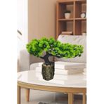Yapay Çiçek Bonsai Ağacı Kütük Saksıda Yatık Akasya Dekoratif Yapay Ağaç Bonzai 30*20 Cm