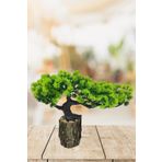 Yapay Çiçek Bonsai Ağacı Kütük Saksıda Yatık Akasya Dekoratif Yapay Ağaç Bonzai 30*20 Cm