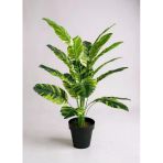 Yapay Çiçek Çizgili Muz Yapraklı Alaca Starliçe Salon Çiçeği 18Dal 80*50Cm Yapay Bitki