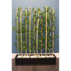Yapay Çiçek Deposu 10 Çubuklu Ahşap Saksıda Bambu Seperatör 20x100x135cm