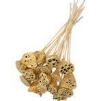 Yapay Çiçek Deposu 20 Adet Bambu Şiş Saplı Mini Lotus Plant Gold Lotus