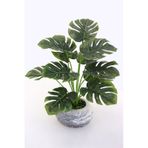 Yapay Çiçek Deposu Beton Saksıda Monstera Deve Tabanı Bitkisi 40 Cm