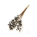 Yapay Çiçek Deposu Kuru Çiçek Black Berri Böğürtlen Dalı 60cm
