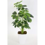 Yapay Çiçek Deposu Melamin Saksıda Yapay 18 Dallı Lüx Şeflera Bitki 70cm Schefflera Koyu Yeşil