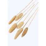 Yapay Çiçek Deposu Tropikal Tropic Luffa Kuru Çiçek Bambu Saplı 6 Adet