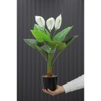 Yapay Çiçek Deposu Yapay Ağaç Çiçekli Spatifilyum Bitkisi 70 cm(9 Yaprakli-3 Çiçekli)