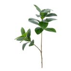 Yapay Çiçek Deposu Yapay Ağac Kauçuk Bitkisi 2 Dallı 105 cm (Saksısız)