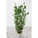 Yapay Çiçek Deposu Yapay Bambu Ağacı 6 Gövde 140 Cm(BEYAZ SAKSI)