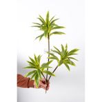 Yapay Çiçek Deposu Yapay Bitki 3lü Dracaena Reflexa Dalı 75 cm Yeşil-Sarı
