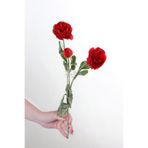 Yapay Çiçek Deposu Yapay Çiçek 3lü Şakayık Ranunculus Dalı 50 cm Kırmızı
