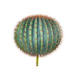 Yapay Çiçek Echinocactus Grusonii Altın Fıçı Kaktüs 60*60cm Cactüs sk4012