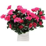 Yapay Çiçek Fuşya Pembe Açelya Demeti 7 Dallı 33*20cm