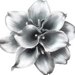 Yapay Çiçek Gümüş Renk Gala Eva Malzeme Silver Cala Flower 8Li Demet
