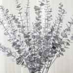 Yapay Çiçek Gümüş Renk Okaliptus 3dallı Uzun Dal 76cm Eucalyptus