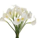 Yapay Çiçek Islak Gala Gerçeksi Eva Malzeme Cala Flower 8li BEYAZ