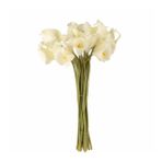 Yapay Çiçek Islak Gala Gerçeksi Eva Malzeme Cala Flower 8li KREM