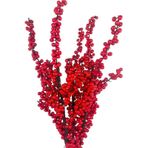 Yapay Çiçek Kokina Uzun Dal 90cm Yılbaşı Çiçeği Red Berry