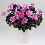 Yapay Çiçek Lila Açık Açelya Demeti 7 Dallı 33*20cm