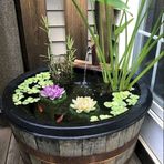 Yapay Çiçek Nilüfer Köpük Lotus Havuz Ve Akvaryum Dekoru 6adet