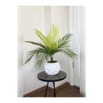 Yapay Çiçek Palmiye Demeti 9 Dallı Areka Yapay Bitki Salon Çiçeği 9 Yaprak 50cm Saksı Dahil Değildir