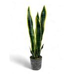 Yapay Çiçek Saksılı Yeşil Kılıç Çiçeği 68Cm Salon Çiçeği Gri Seramik Saksılı Yapay Bitki
